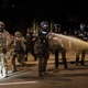 Image for article titled Oregon Attorney General Sues Against Shady Federal Arrests in Portland, Trump Administration Says More to Come